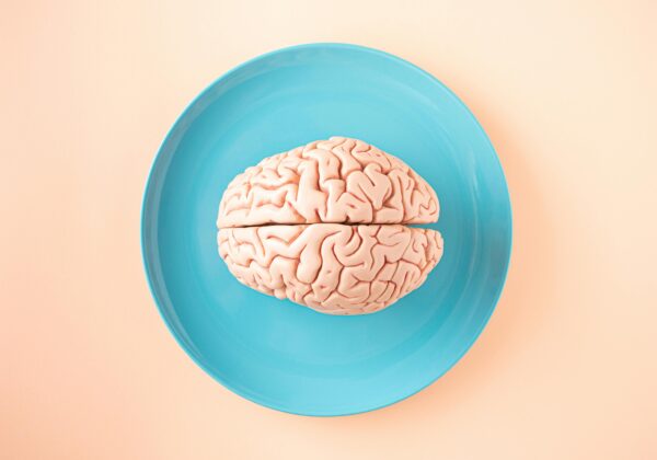 A brain in a blue dish